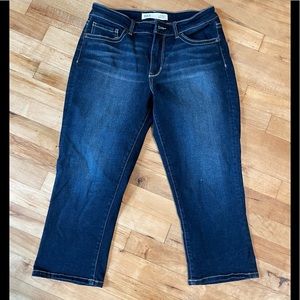 NEW BKE BUCKLE GABBY STRETCH CROPPED JEAN CURVY FIT HIGH RISE SIZE 28 FLATTERING
